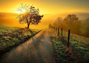 Пазл Ravensburger 1000 деталей: Пейзаж в утреннем солнце