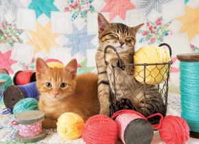 Пазл Cobble Hill 1000 деталей: Котята в клубках пряжи