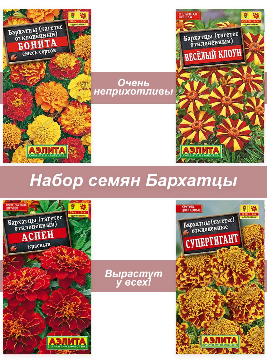 Набор семян, семена цветов бархатцы АЭ-БАР-8901 - купить в интернет  магазине | ShopUdachi.ru