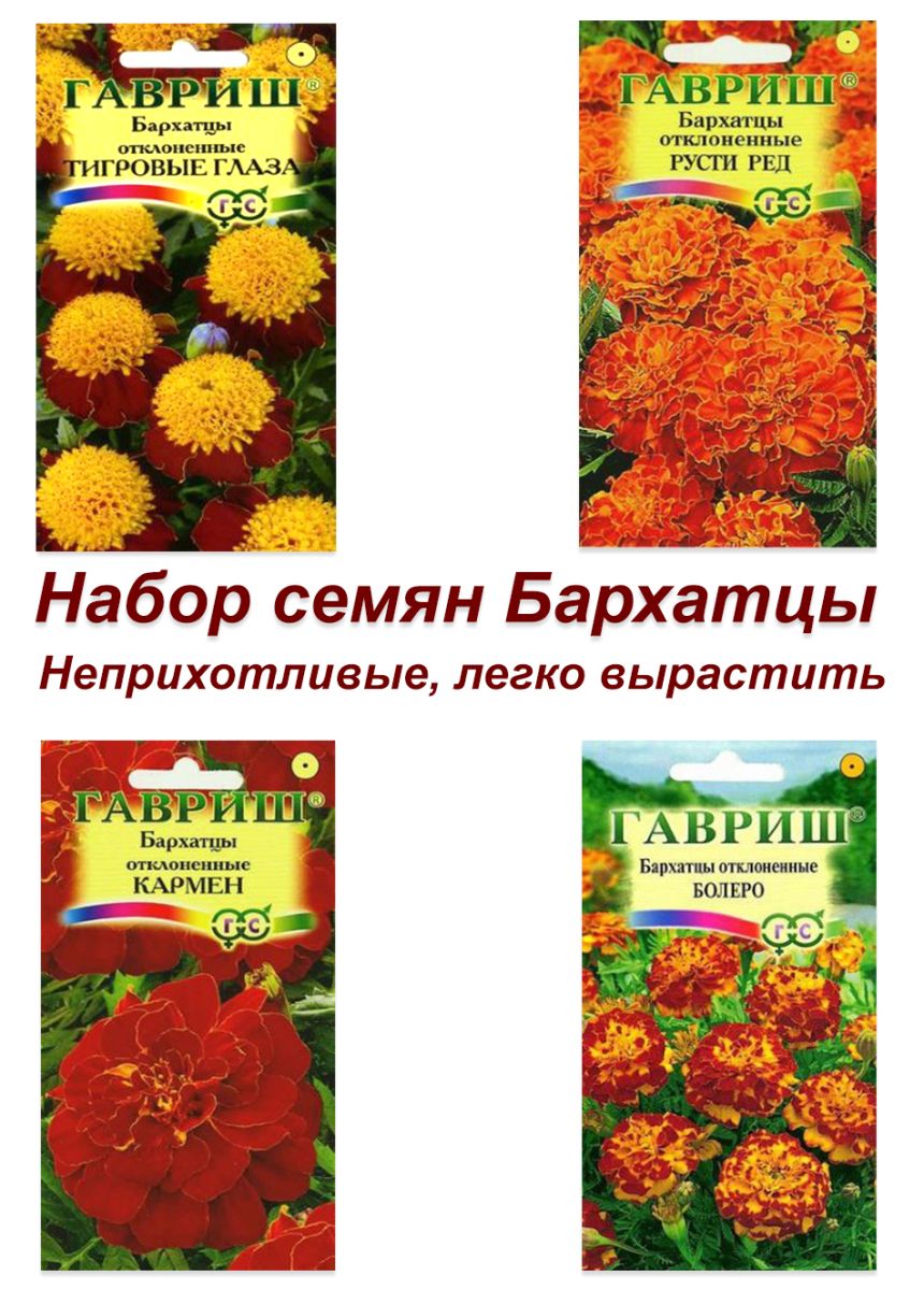 Набор семян, семена однолетних цветов Бархатцы КЛУ-БАР-4323 - купить в  интернет магазине | ShopUdachi.ru