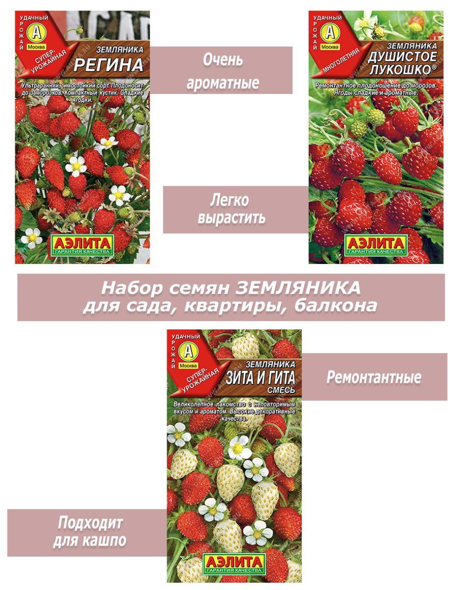 Набор семян, семена земляники для кашпо, подоконника, квартиры, балкона  АЭ-ЗЕМ-5054 - купить в интернет магазине | ShopUdachi.ru