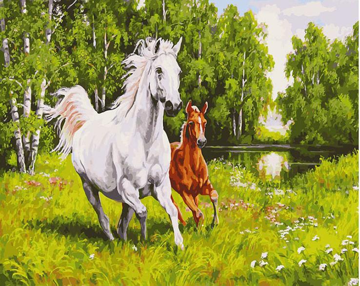 Картины по номерам с лошадьми | ShopUdachi.ru