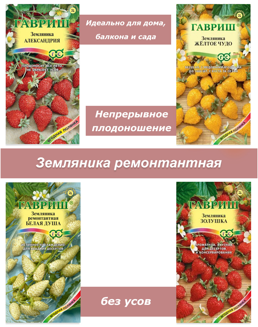 Набор семян, семена земляники для сада, дома, подоконника ЗЕМ-БАЛ-4514 -  купить в интернет магазине | ShopUdachi.ru