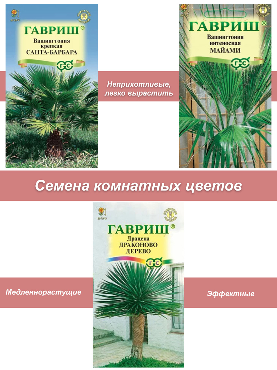 Семена комнатных цветов Пальмы КЦ-3-ПАЛ-9397 - купить в интернет магазине |  ShopUdachi.ru