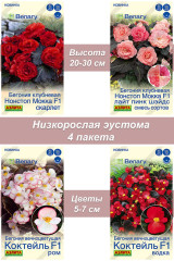 Семена комнатных растений Бегония 3