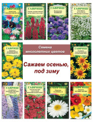 Семена многолетников, набор семян многолетних цветов 2