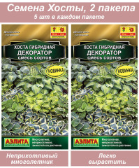 Хоста