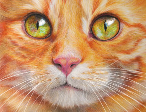 Алмазная мозаика на подрамнике Рыжий Кот: Кошачий взгляд (полное заполнение)