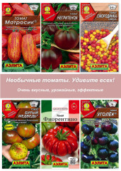 Семена необычных томатов для теплицы и открытого грунта