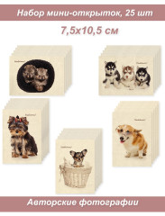 Набор Мини открыток, бирки, карточки 5