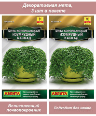 Семена цветов ампельная мята 2