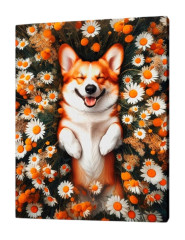 Картина по номерам на подрамнике Рыжий Кот: Корги в ромашках