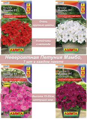 Мамбо 30