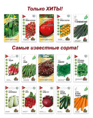Семена, набор Выходные на даче - 15, 15 пакетов, томат, огурец, горох, кабачок, укроп и другие