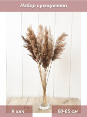 Букет из сухоцветов тростник  для декора 9