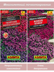 Семена многолетних цветов обриета 1