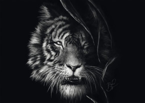 Пазл Schmidt 1000 деталей: Эшли Рейдер. Тигр - воплощение свободы