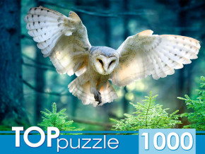 Пазл TOP Puzzle 1000 деталей: Полет совы