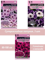 Петуния Шок Вейв 3