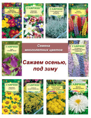 Семена многолетников, набор семян многолетних цветов