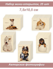 Набор Мини открыток, бирки, карточки 4