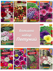 Семена петунии