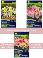 Петуния Шейк