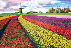 Пазл Eurographics 1000 деталей: Тульпановые поля, Нидерланды