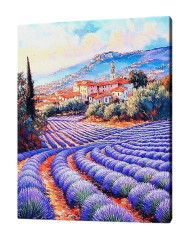 Картина по номерам на подрамнике Рыжий Кот: Поле лаванды на юге Франции