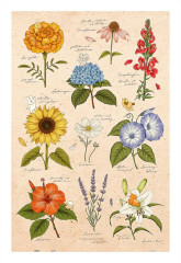 Пазл Pintoo 600 деталей: Mandie. Летние цветы