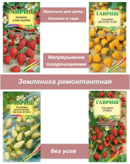 Набор семян, семена земляники для сада, дома, подоконника