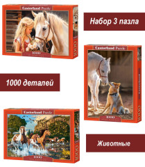 Набор Castorland 1000 деталей: Лошади, 3 шт