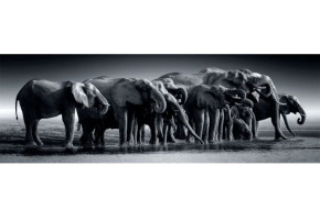 Пазл Clementoni 1000 деталей: Стадо слонов