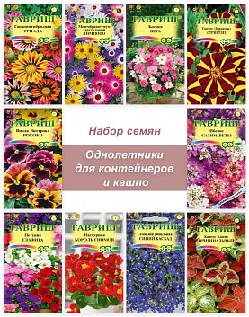 40 идей, как сделать красивые уличные кашпо своими руками | Дизайн участка (teaside.ru)