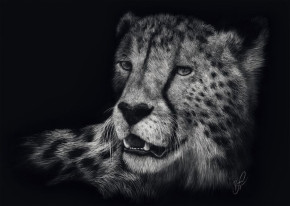 Пазл Schmidt 1000 деталей: Эшли Рейдер. Гепард - воплощение грации