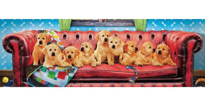 Пазл Eurographics 1000 деталей: Бездельничающие лабрадоры