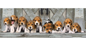 Пазл Clementoni 1000 деталей: Щенки Бигля