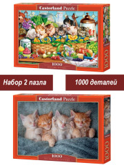 Набор Castorland 1000 деталей: Спящие котята, 2 шт