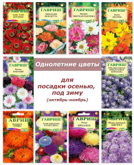 Набор семян, семена однолетних цветов