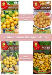 Физалис 4 шт