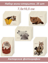 Набор Мини открыток, бирки, карточки