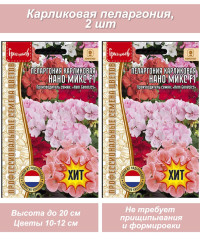 Семена комнатных цветов Пеларгония Нано карликовая