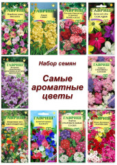 Набор семян, семена ароматных, душистых цветов, агератум, левокй, табак и др