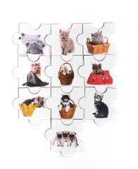 Магнитики №1