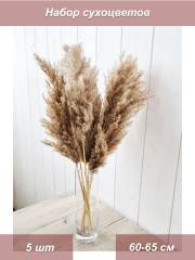 Букет из сухоцветов тростник  для декора