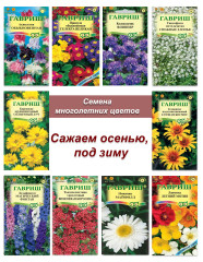 Семена многолетников, набор семян многолетних цветов 2