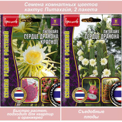 Семена комнатных цветов Питахайя