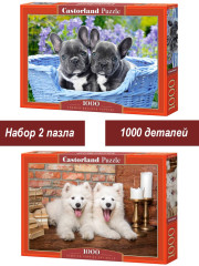 Набор Castorland 1000 деталей: Прелестные щенки, 2 шт