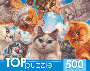 Пазл TOP Puzzle 500 деталей: Необычное селфи котов