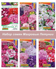 Петуния Махровая 6 шт